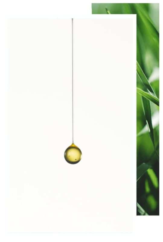 Goutte d'huile CBD pure