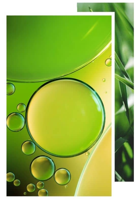 Huiles et produits NŌTO CBD