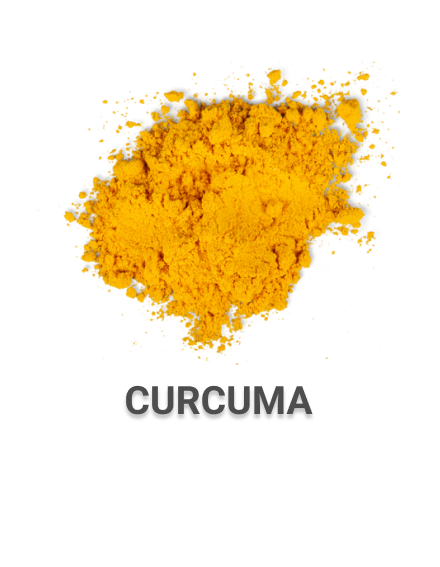 Curcuma