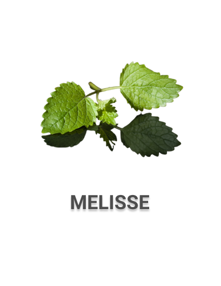 Mélisse