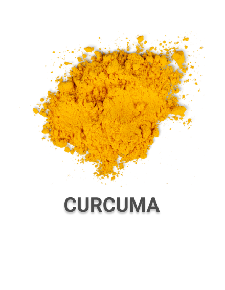 Curcuma CBD