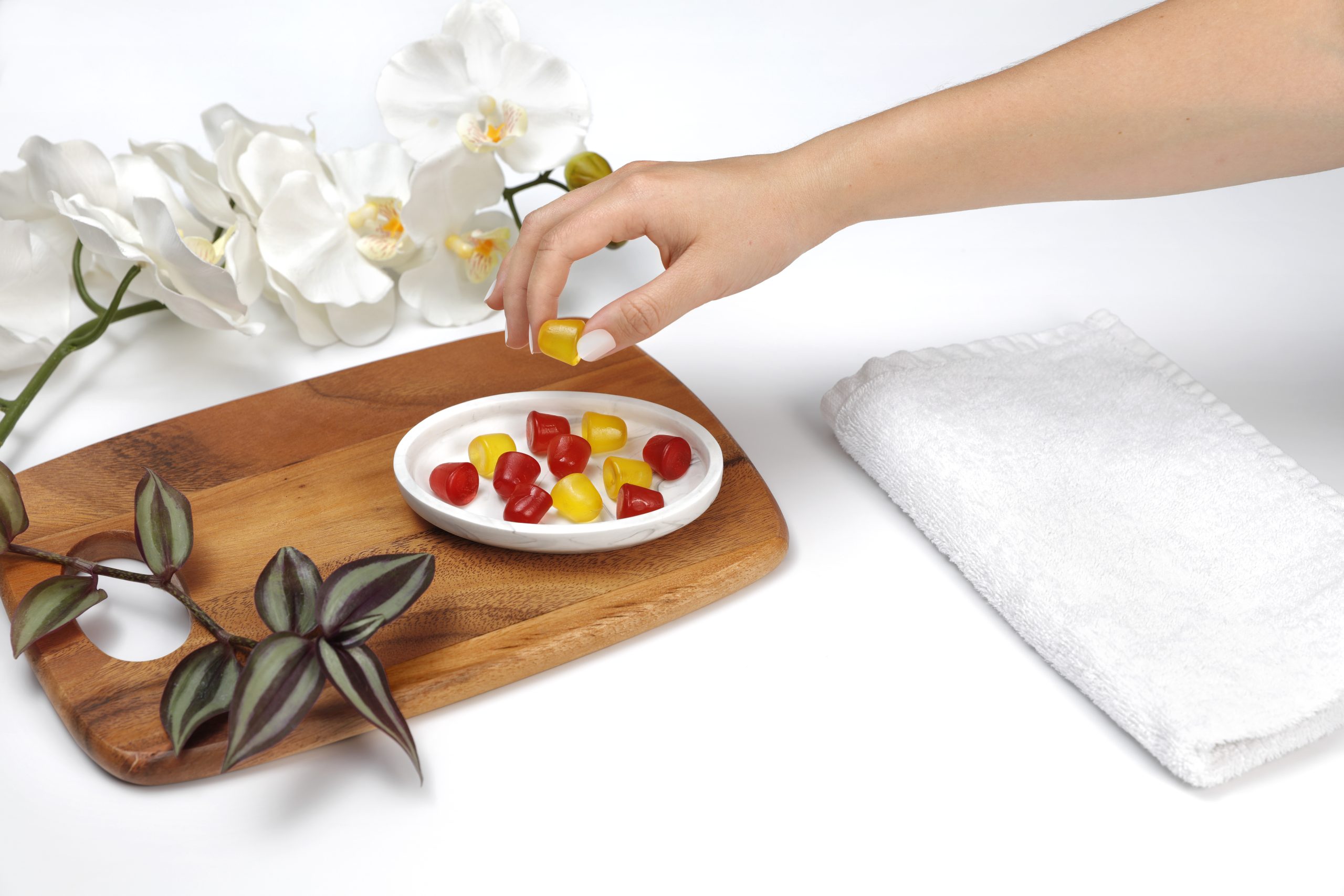 L'HERBIER DE FRANCE Mélange Infusion Détente 35g Bio